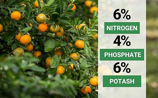 6-4-6 Avocado and Citrus Tree Professional Fertilizer Plant Food for Outdoor/Indoor Gardening; Quick-Release Nitrogen Fertilizer; Orange, Lime, Avocado and Lemon Tree Fertilizer (10 QUARTS)