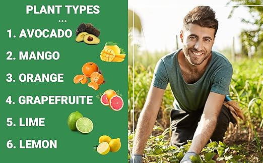 Avocado & Citrus Tree Fertilizer for Indoor & Outdoor Plants | Quick-Release Nitrogen - Citrus Fertilizer (3 Quarts)