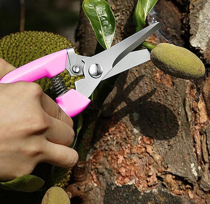 2pcs Garden Flower Shears Pruning Shears 6.9 inches Scissors Lightweight Plant Scissors for Cutting Flowers, Trimming Plants, Bonsai, Fruits Picking