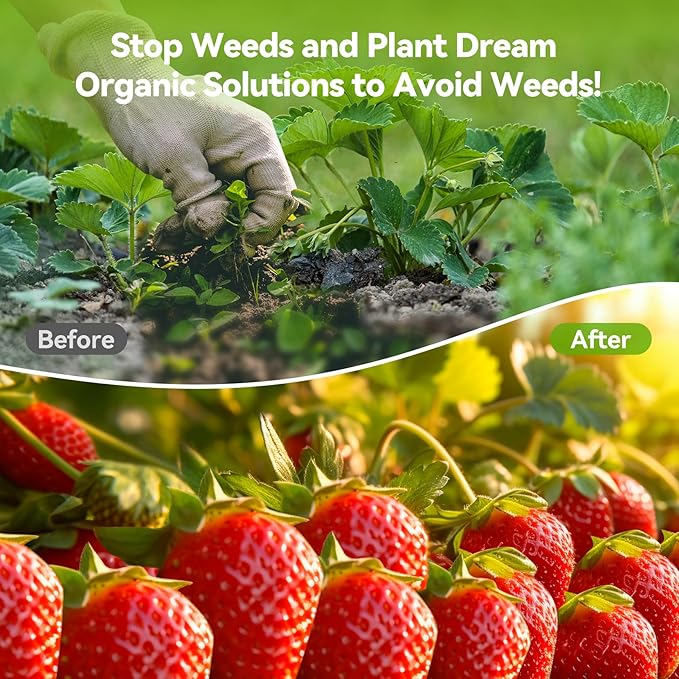 3ftx100ft Weed Barrier Landscape 3.2oz Fabric Heavy Duty, Woven Weed Control Cloth, Woven Geotextile Fabric for Underlayment, Gardening Ground, Commercial Driveway Weed Block Cover Mat