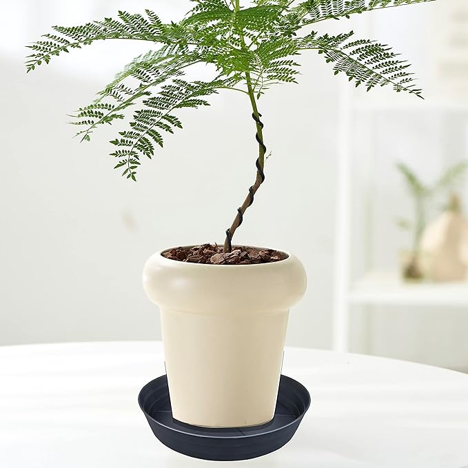 16 Inch Large Plant Saucers, Extra-Deep 2.3 in Black Drip Trays for Flower Pot, Heavy Duty Drainage Tray for Indoors No Holes, 4 Pack Plastic Planter Plate Water Catcher for Pots Base 12 13 14 in