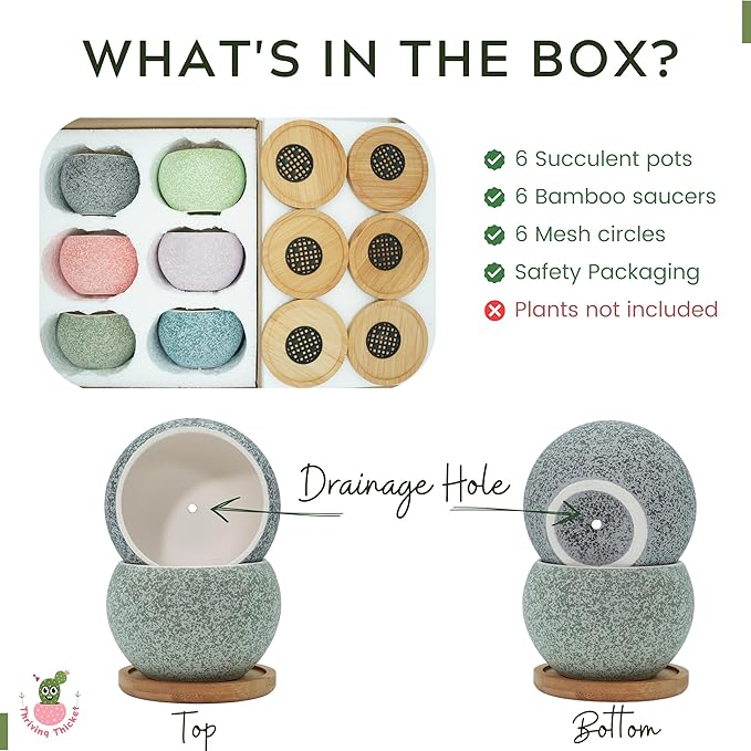 3 inch Ceramic pots for Plants, Small Succulent Pots Set with Drainage, 6 Pack Flower Pot for Indoor Plant, Decorative Planters for Little or Mini Cactus