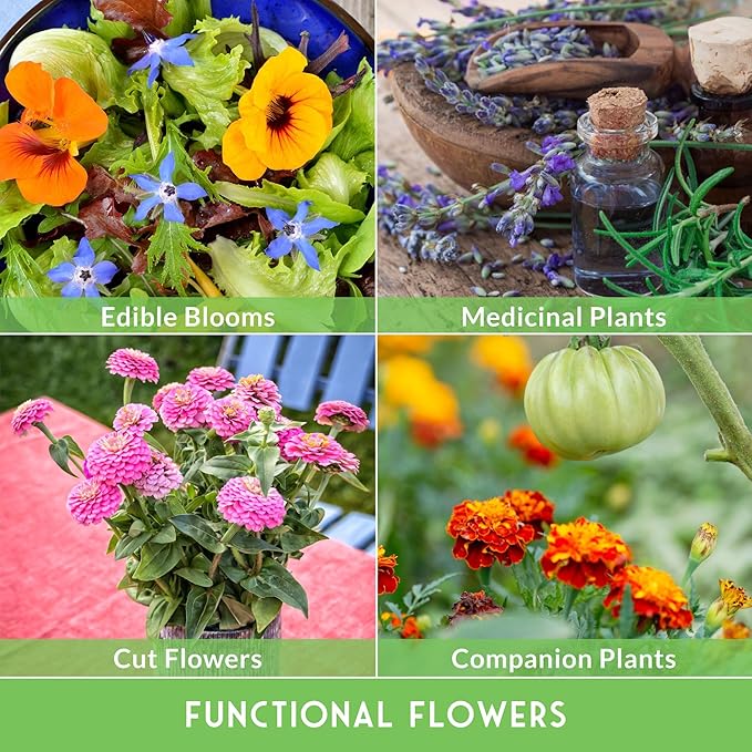 Survival Garden Seeds Functional Flower Garden Kit | 36 Pack Seed Starter Collection | Bee, Butterfly, Hummingbird, Pollinator-Friendly Blooms | Non-GMO Heirloom Beneficial Flowers & Wildflowers