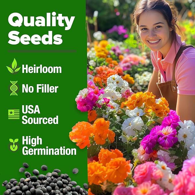 HOME GROWN 23,500+ Moss Rose Seeds (Bulk Pack) Annual Flower for Ground Cover - Heirloom 𝗡𝗢𝗡-𝗚𝗠𝗢 Portulaca Seeds for Planting Outdoors - Great for Low-Maintenance Gardens (Portulaca grandiflora)