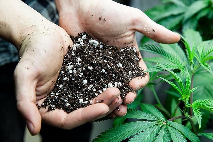 Premium Happy Plant Potting Soil Mix - Optimal Nutrient-Rich Blend for Thriving and HIGH-Yield Herbal Plants - 20 Quart