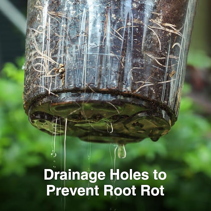 Bonviee Clear Nursery Pots for Plants, 6.7/5/4/3.5 Inch Reinforced Clear Nursery Pots with Drainage Hole, 36 Packs Transparent Plastic Plant Pot Seedling Planter Seed Starter Flower