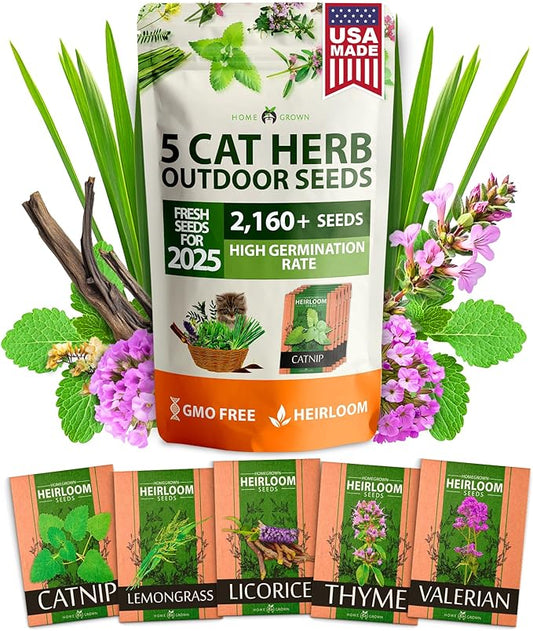 HOME GROWN 2,160+ Cat Plant Seeds Mix – 𝗡𝗢𝗡-𝗚𝗠𝗢 𝗨𝗦𝗔-𝗦𝗢𝗨𝗥𝗖𝗘𝗗 Heirloom Catnip, Lemongrass, Licorice, Thyme & Valerian – Pet-Friendly Indoor Garden Refill Kit for Cats & Kittens