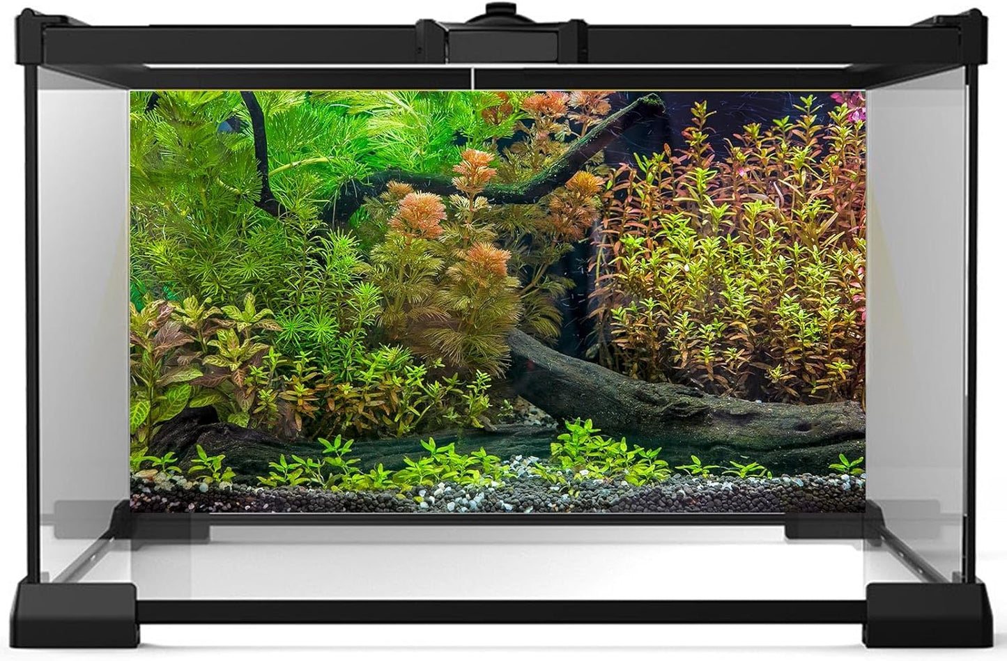 Aquarium Backdrop Underwater Grass Leaves with Pebbles Exquisite Aquarium Background Vivid Green Aquatic Plant Stone River Bed Fish Dead Wood Fresh Leaves Tank Background Decors Vinyl 60x24in