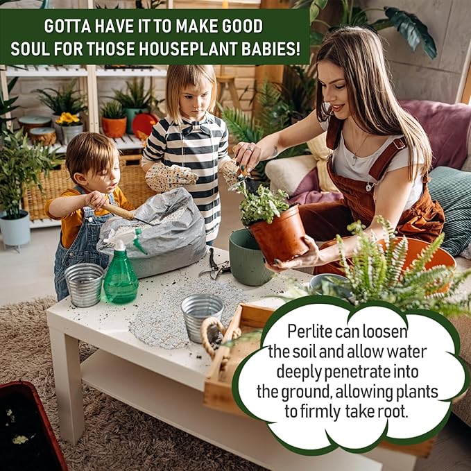 25QT Horticultural Perlite Bulk, Organic Perlite for Plants, Course Perlite for Gardening, for Plants Indoor, for Houseplants, to Promotes Soil Root Growth, and Water Drainage and Plant Growth(3-6mm)