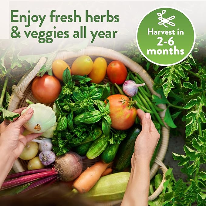 Home Grown 32,000+ Heirloom Seeds for Planting Vegetables and Herbs Bundle: 70 Unique Varieties - 100% Non-GMO Survival Seeds for Planting Indoor or Outdoors