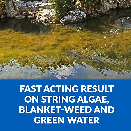 CrystalClear Algae D-Solv Pond Algae Control, Fast-Acting EPA Registered Algaecide, Use in Fountains & Outdoor Ponds Containing Koi & Other Fish, Treats 11,520 Gallons, 32 Ounces