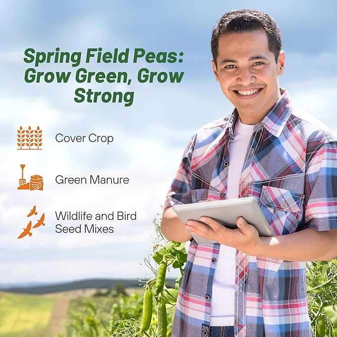 Outsidepride Dundale Spring Field Peas Seeds - 1 lb. Annual, High-Protein Legume & Cover Crop Seeds for Forage, Food Plot, Gardens & Pastures - Ideal for Improving Soil Health, & Erosion Control