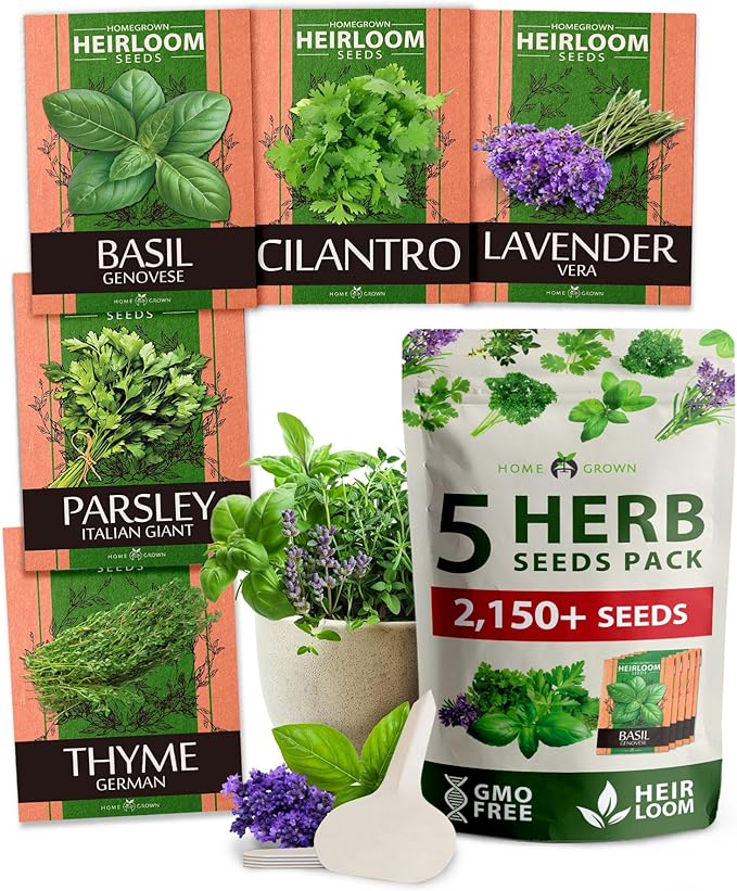 HOME GROWN 5 Herb Seeds for Planting 2,150+ Non-GMO Heirloom Seeds | Extra Large Variety Pack Herb Kit – Indoor Outdoor & Hydroponic | Culinary Seed Set | Grow Your Own Herbs | Gift for Beginners