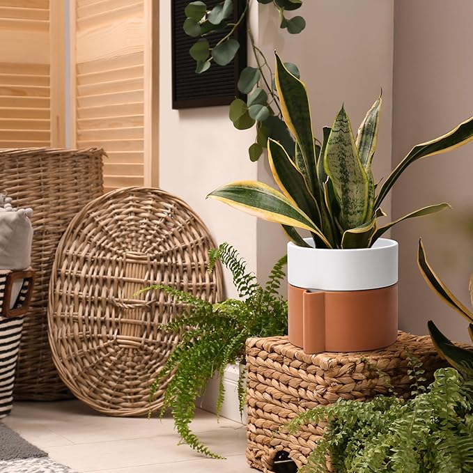 8 Inch Self-Watering Planter Pot with Terracotta Insert, Deep Water Reservoir, and Ceramic-Alike BPA-Free Plastic Planter Pot for Plant, Modern Planter for Houseplants, Terracotta/White, 53-B-T-6