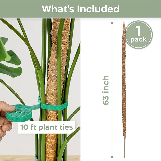 63'' Bendable Moss Pole Monstera Plant Support for Climbing Indoor Plants - Stakes for Potted Climbers - Tall Sticks Indoor Trellis for Houseplants - Accessories for Monstera Pot