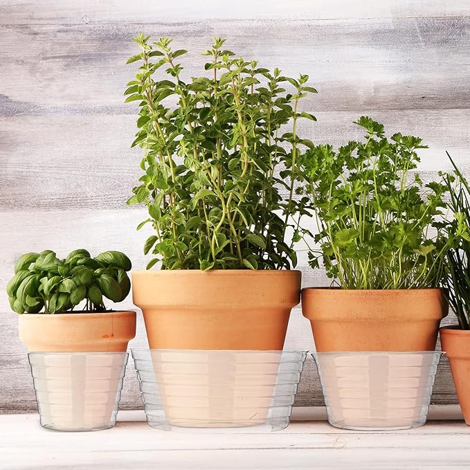 Hoolerry Plastic Plant Saucer Clear Deep Drip Tray Thickened Clear Plant Saucers Trays for Pots Deep Drip Trays for Home Garden Indoor and Outdoor Potted(15 Pcs,4, 6, 8 Inch)