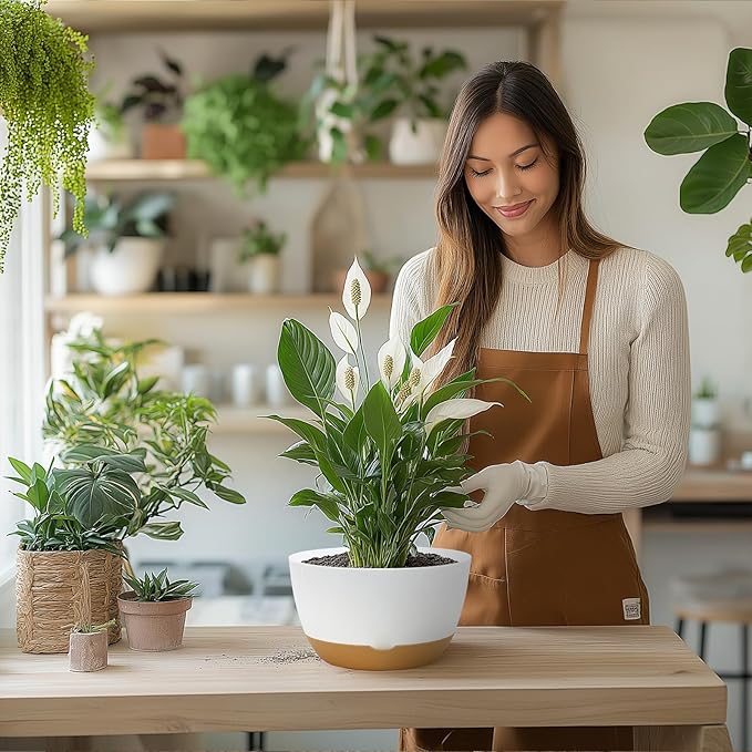 8 Inch Pots for Indoor Plants, Self Watering Planters with Drainage and Saucers, Plastic Outdoor Flower Pot, Set of 2, White