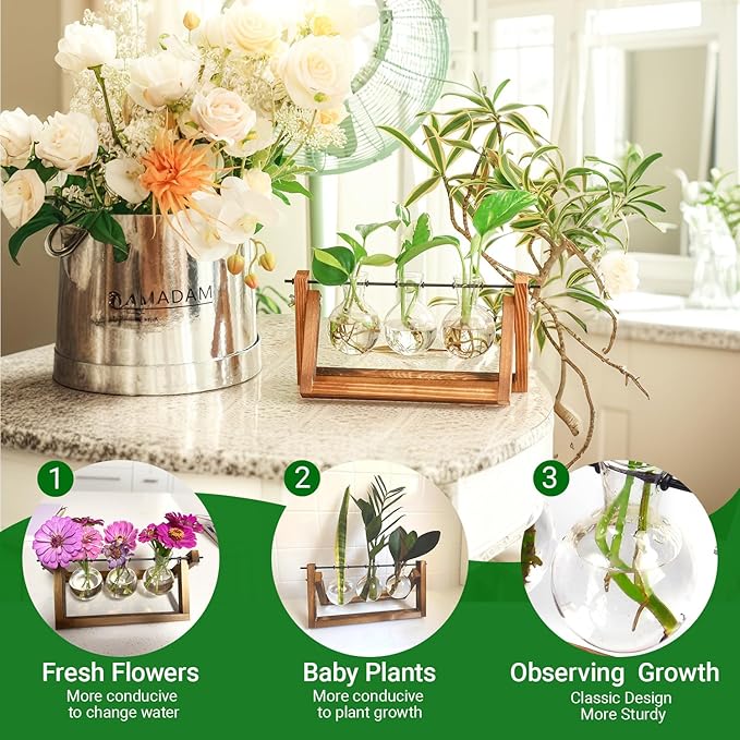 Ivolador Plant Propagation Station,Bulb Plant Terrarium with Wooden Stand,Unique Gardening Gifts for Women Plant Lovers,Hydroponic Indoor Planter Home Office Garden Wedding Decor-3 Bulb Glass Vases