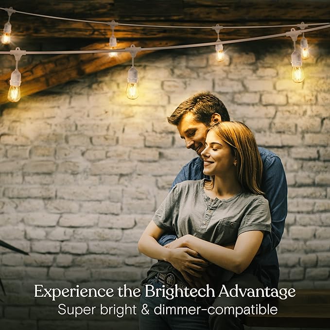 Brightech Ambience Pro Waterproof LED Outdoor String Lights, 48 Ft, Hanging, Dimmable Vintage Edison Bulbs, 15 Bulbs, 2W