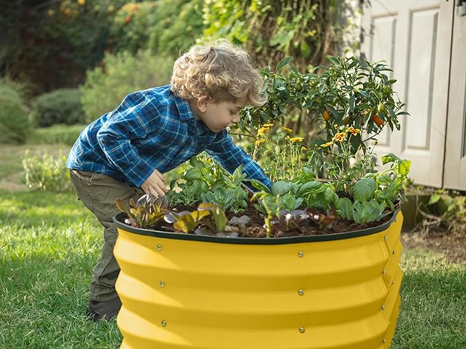 Galvanized Raised Garden Beds Outdoor // 4×2×1 ft Planter Raised Beds for Gardening, Vegetables, Flowers (Yellow) // Large Metal Garden Box