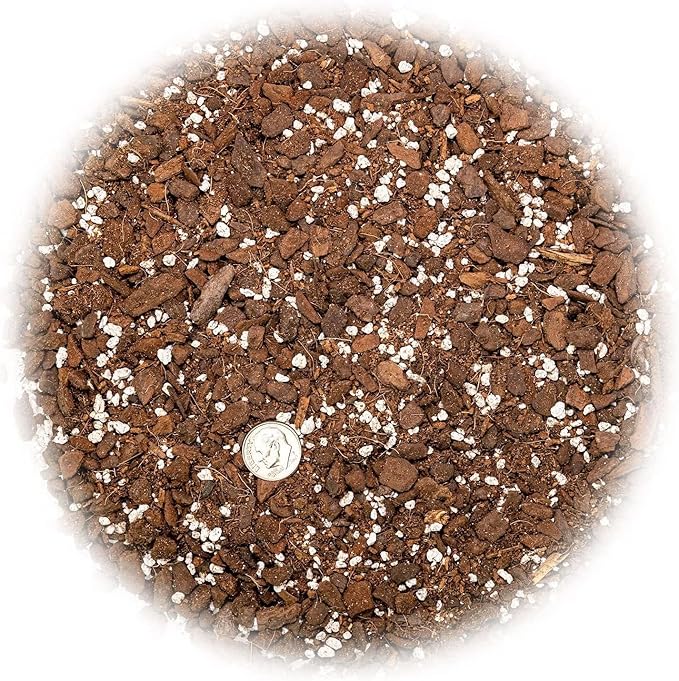 Monstera Obliqua Soil Blend - Customized for Unique Plant Needs by Gardenera - 4 Quart