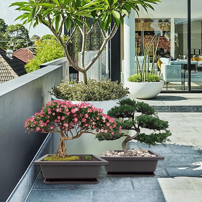 Bonsai Starter Kit, 5 Seeds Growing into Acacia, Wisteria, Sakura, Red Maple and Black Pine, Including Complete Gardening Tools with A Gift Box, Christmas Gifts for Men Women Beginners