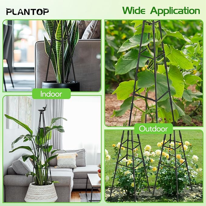 2 Pack Garden Obelisk Trellis for Climbing Plants | 79 Inches Tall Rustproof Metal Plant Support Trellis | Adjustable Garden Tower Trellis for Indoor Outdoor Vines Vegetables Flowers