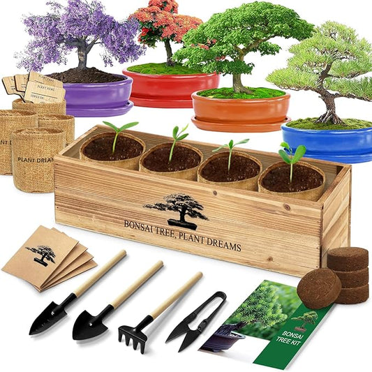 Bonsai Tree Kit, Bonsai Starter Kit with 4 Bonsai Tree Seeds, Tools & Planters, Bonsai Tree Live Plants Indoor, Gardening Gifts for Women Men Mom Father Plant Lover, Unique Christmas Gifts