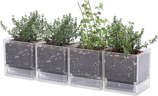 4 Inch Herb Planter Pot, Plastic Planter with Drainage Holes and Saucer, Modern Decorative Gardening Pot for Indoor Plants, Flowers, Herbs, Succulents, Clear, Set of 4, 76-Y-D-4