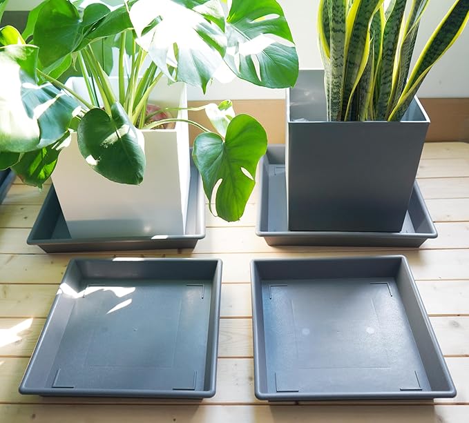 Square Plant Saucer 6 Inch 5 Pack6 8 12 14 16 18 20 Plastic Plant Saucers for Indoors Outdoors, Flower Pot No Holes Plant Drip Trays, Plant Trays for Pots Heavy Duty