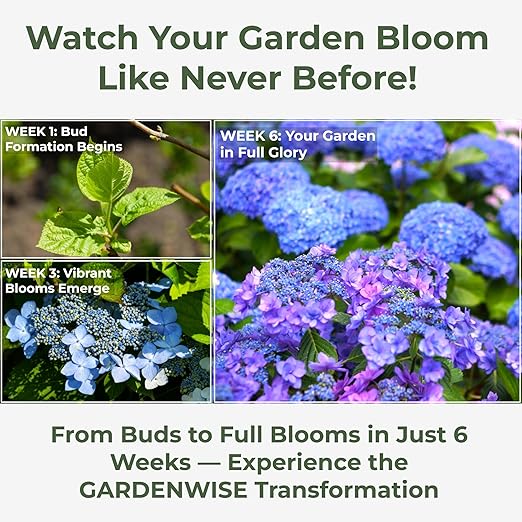 Slow Release Hydrangea Fertilizer with Iron & Sulfur – Indoor & Outdoor Soil Acidifier for Miracle Growth (2 qt)