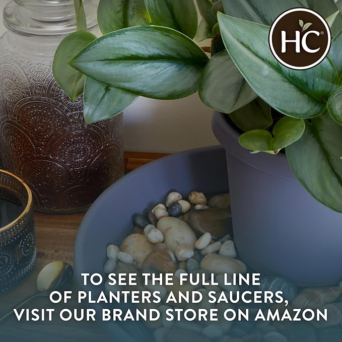 The HC Companies 6 Inch Round Plastic Classic Plant Saucer - Indoor Outdoor Plant Trays for Pots - 6.75"x6.75"x1.13" Warm Gray