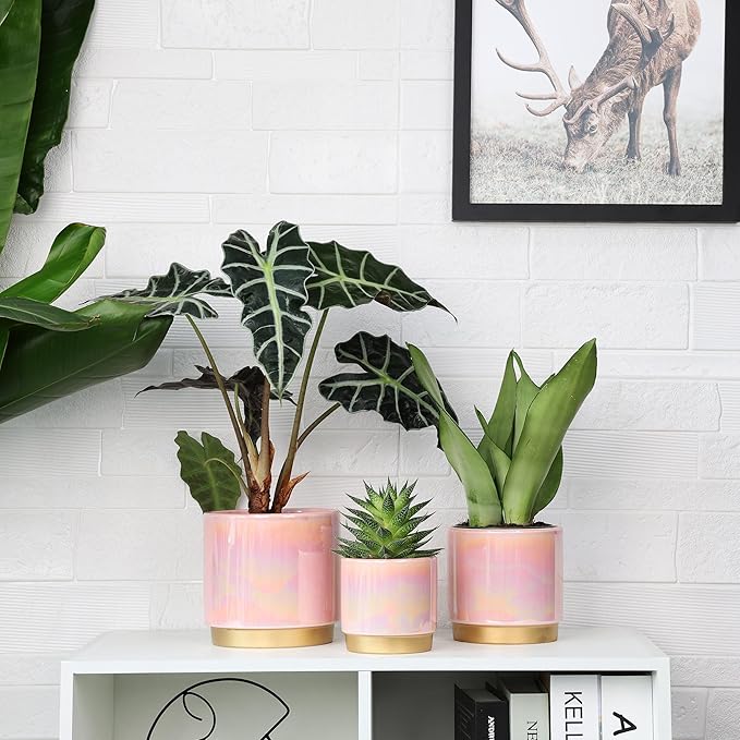 Gepege Indoor Pots for Plants, Ceramic Planter with Drainage Hole, 9.6inch+7.6Inch+6Inch. Succulent Orchid Flower Pot - Rainbow Pearl Glaze
