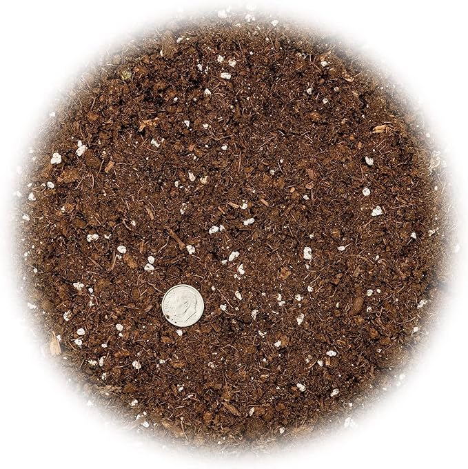 Citrus Tree Potting Soil Mix, Special Blend for Indoor Oranges, Lemons, Limes and More - (1 Quart Bag)