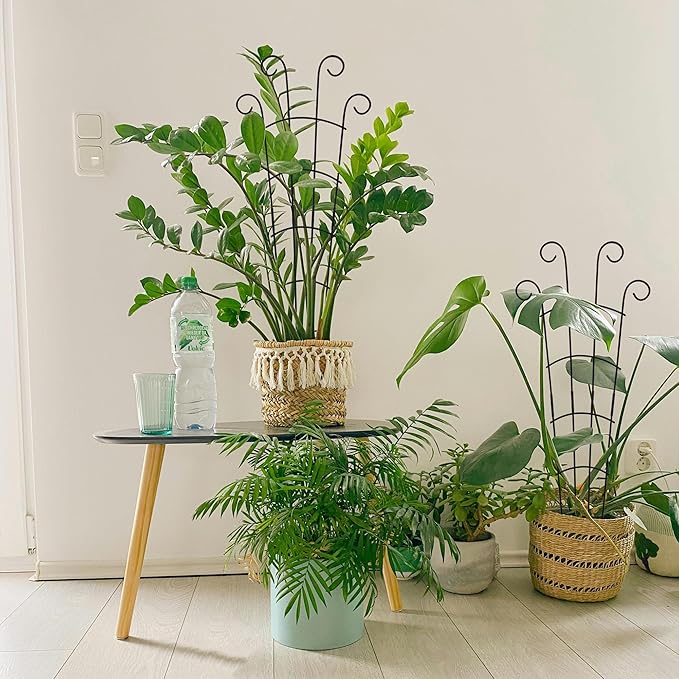 30 Inch Plant Trellis Indoor for Potted Plants 3 Pack Indoor Plant Trellis for Climbing Plants Stackable Houseplant Trellis Metal Garden Pot Trellis for Vine Ivy Support(30inch Black)