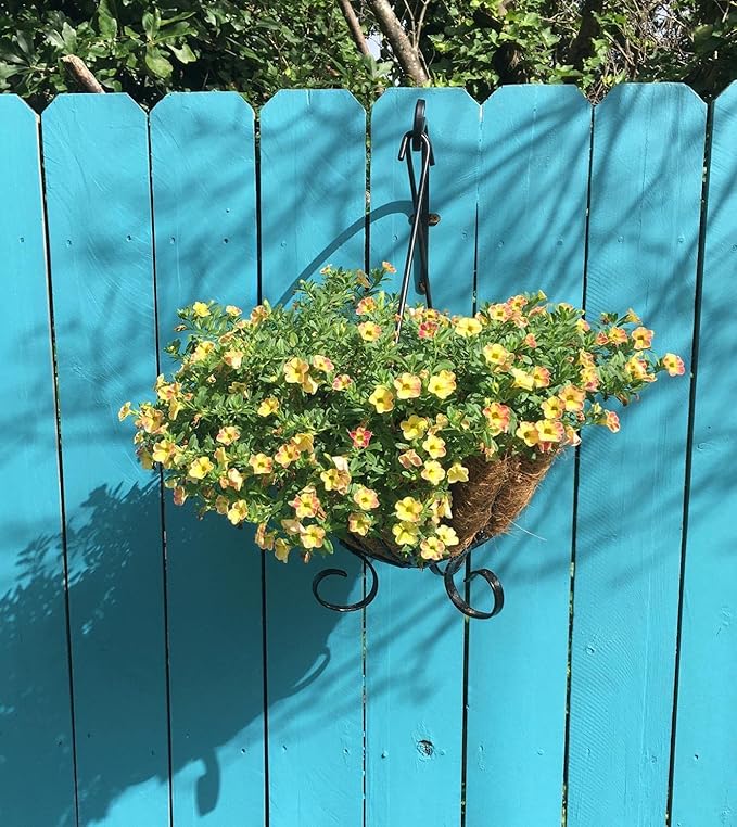 4 Pack Heavy Duty Plant Hanger Bracket, 12Inch Hanging Brackets for Plants Outdoor and Indoor, 80lbs Holding Capacity Metal Plant Wall Hooks, Black Hanging Plant Brackets for Flower Wind Bird Feeder