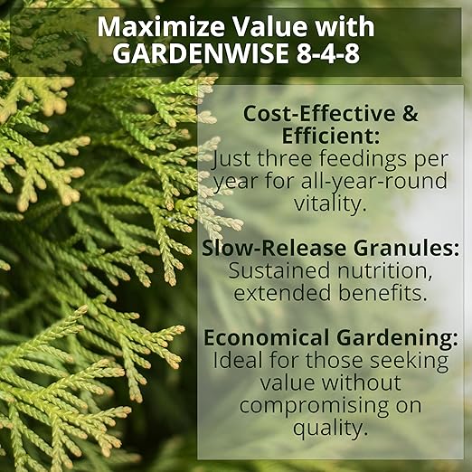 8-4-8 Acidic Fertilizer for Azaleas, Camellias (Camelia), Hydrangeas, Blueberries, Gardenias, Magnolia Trees, Evergreens, and Rhododendrons - Ideal Iron-Rich Plant Food (1/2 Quart)