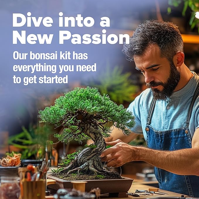 HOME GROWN Bonsai Tree Kit - Premium Ceramic Starter Kit - 4 Variety of Bonsai - Unique Gift for Men and Women Gardeners (BK2-2nd-MF)