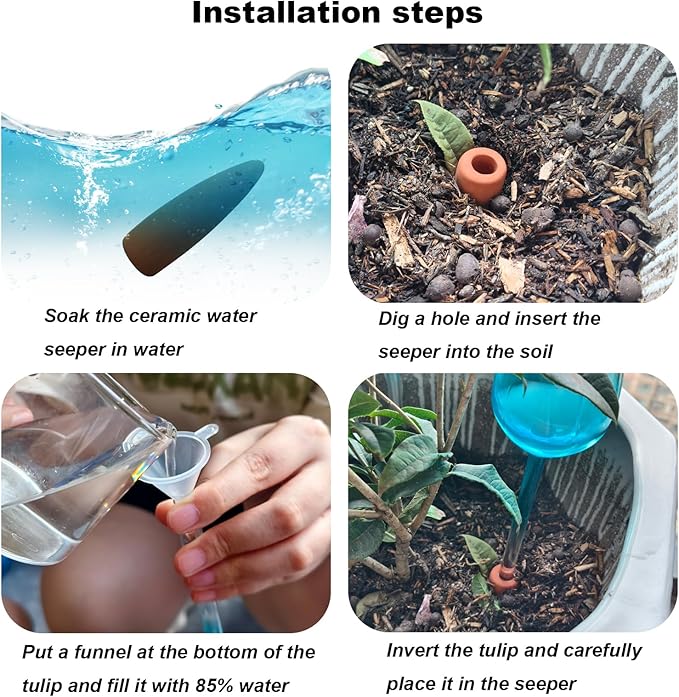 2 PC Glass Water Globes for Plants, Self-Watering Plant Device Plant Watering Globes Tulips Insert Spikes Drip Devices for Indoor & Outdoor Plants