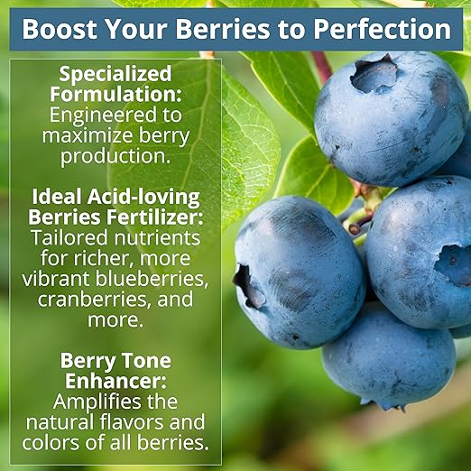 8-4-8 Acidic Fertilizer for Azaleas, Camellias (Camelia), Hydrangeas, Blueberries, Gardenias, Magnolia Trees, Evergreens, and Rhododendrons - Ideal Iron-Rich Plant Food (1/2 Quart)