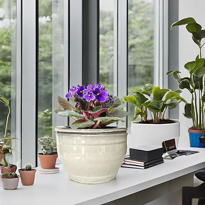 African Violet Pots Self Watering Round Ceramic Violet Pot (White, 6 inch)