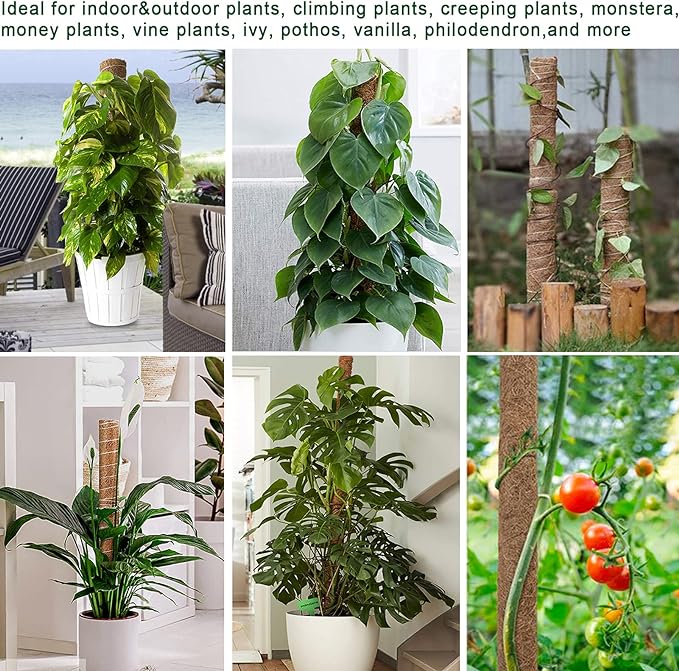 Moss Pole 47.5 Inch - Monstera Plant Support, 4 Packs 16 Inch Plant Stakes for Indoor Plants Coco Coir Moss Pole Sticks for Climbing Potted Live Plants, Pothos, Philodendron, with Garden Ties
