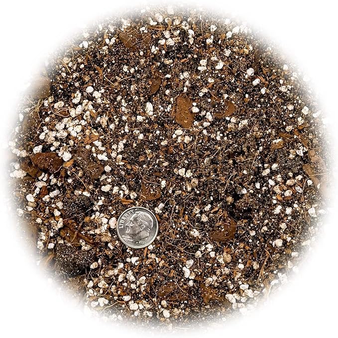 Banana Tree Potting Mix - High-Performance Formula for Vibrant Growth and Abundant Fruit Production - Unlock The True Potential of Your Banana Trees (20 Quart)