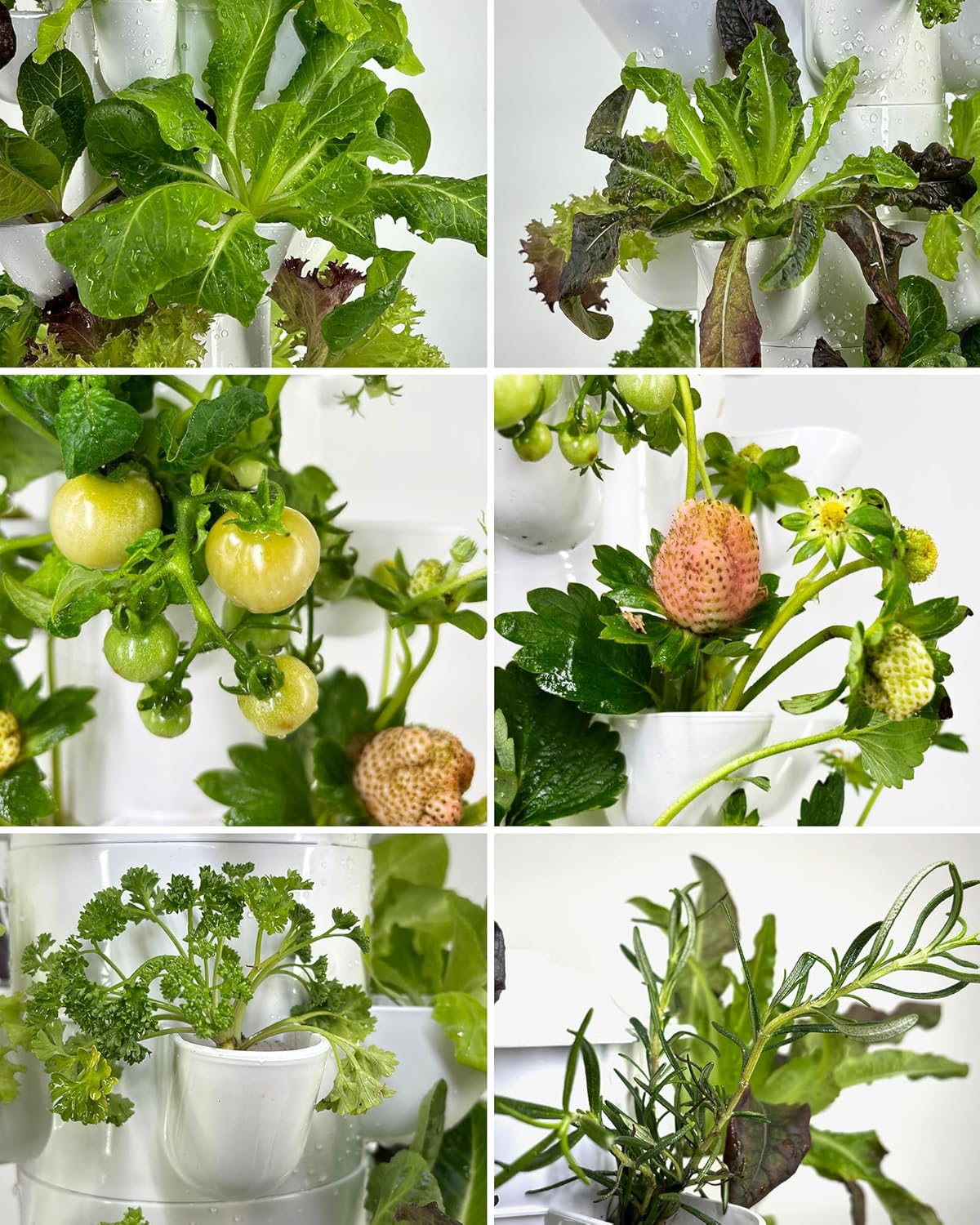 Hydroponic Tower Growing System，45 Pods Vertical Garden，Suitable for Indoor and Greenhouse, Grow Herbs and Vegetables，Houseplant Farming with Water Circulation and Automatic Timer