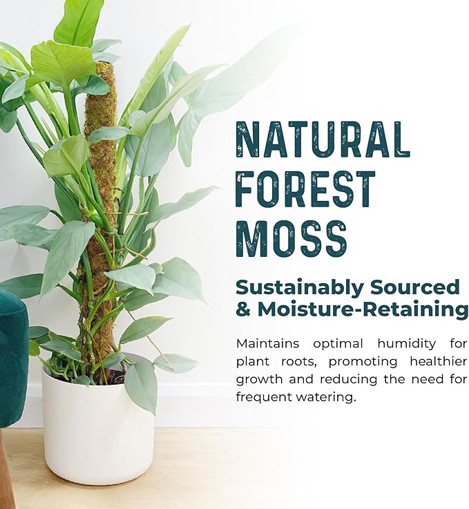 2 Pack 42'' Bendable Moss Pole Monstera Plant Support - Real Forest Moss for Climbing Indoor Plants - Stakes for Potted Climbers - Tall Sticks Indoor Trellis for Houseplants - Pot Accessories