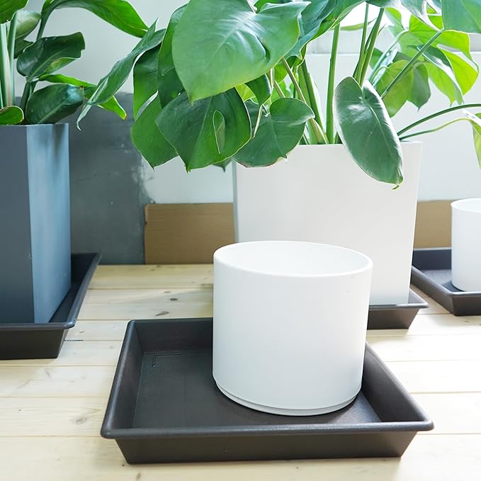 Square Plant Saucer 18 Inch 2 Pack, Large Plant Trays for Pots Heavy Duty Plastic Plant Saucers for Indoors Outdoors, Flower Pot Plant Drip Trays No Holes Plant Lover Gardening Gifts