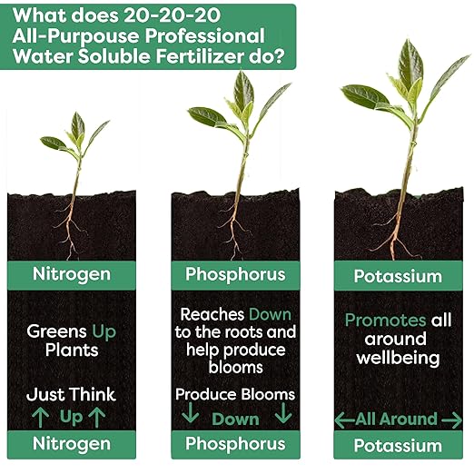 20-20-20 Water-Soluble Fertilizer – Powder for Liquid Plant Food for Indoor & Outdoor Plants, Orchids, Vegetables, Lawns, Flowers – 20 20 20 Fertilizer (10 QUARTS)