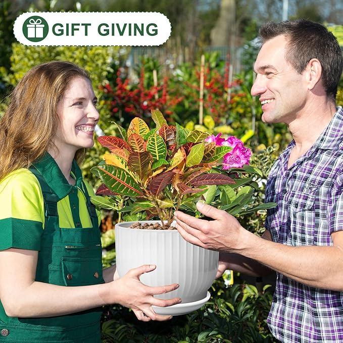 8 Inch Plant Pot,Ceramic Planter with Drainage and Saucer,Ceramic Pots for Plants,Indoor Plant pots,Ceramic Flower pots(Pure White, Plants NOT Included)