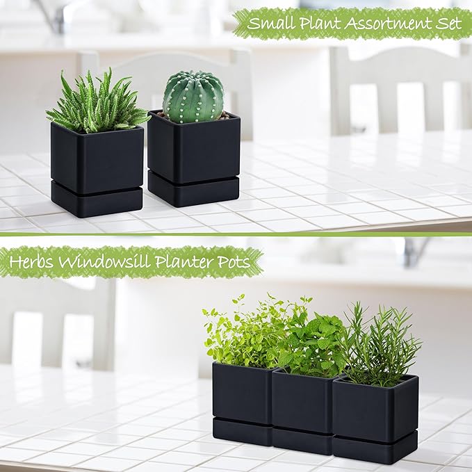 4 Inch Herb Planter Pot, Plastic Planter with Drainage Holes and Saucer, Modern Decorative Gardening Pot for Indoor Plants, Flowers, Herbs, Succulents, Black, Set of 3, 76-Y-B-3