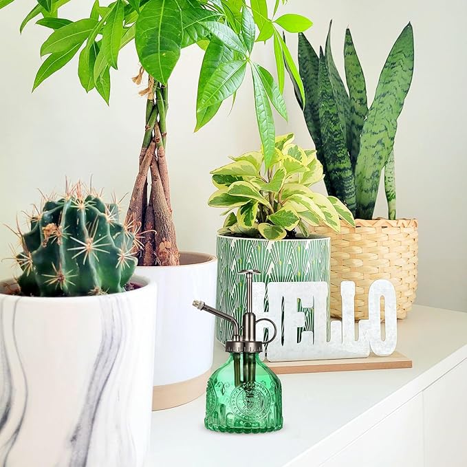 Glass Plant Mister Spray Bottle, Vintage Plant Spritzer Watering Can, Succulent Watering Bottle with Top Pump, Small Plant Sprayer Mister for Indoor Outdoor House Plant - Green